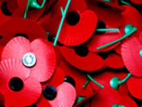 Remembrance Parade 2009